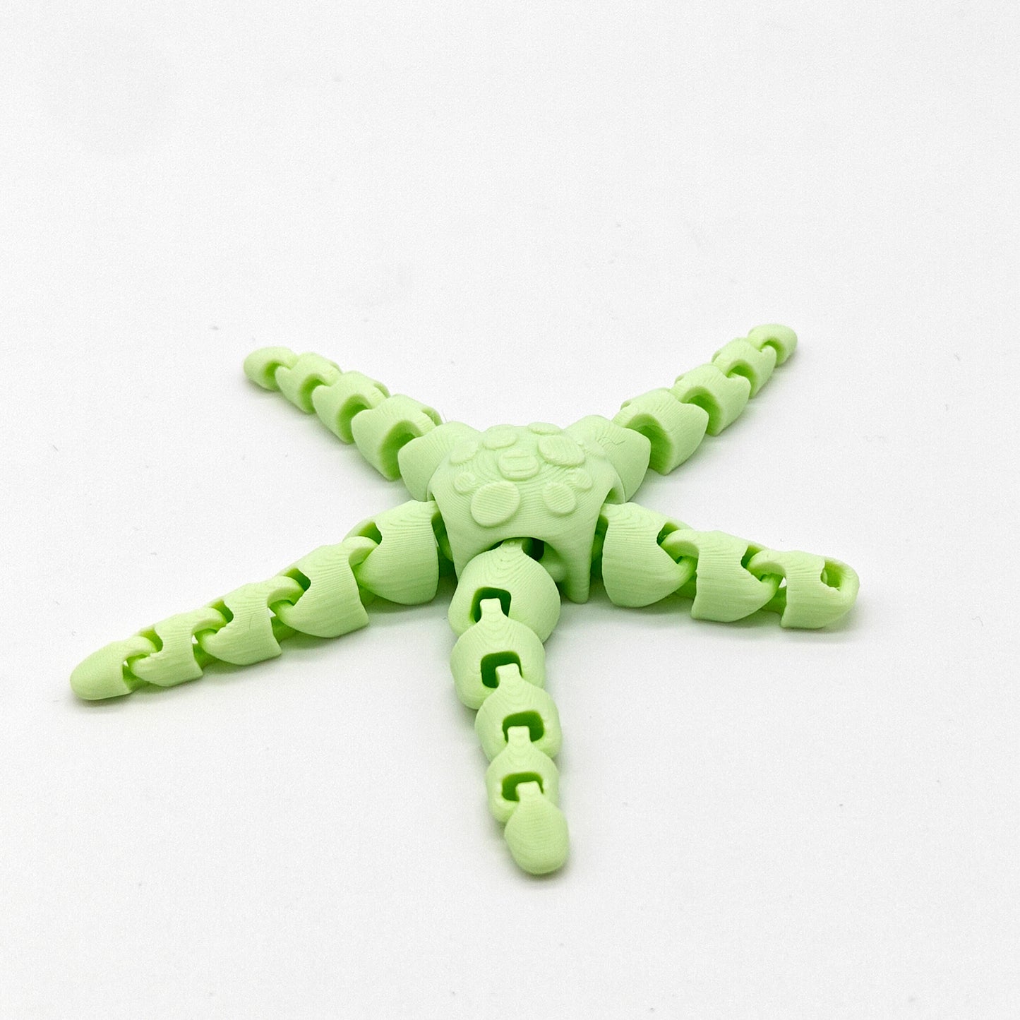 Mini Starfish Fidget Animal (BLEMISHED)