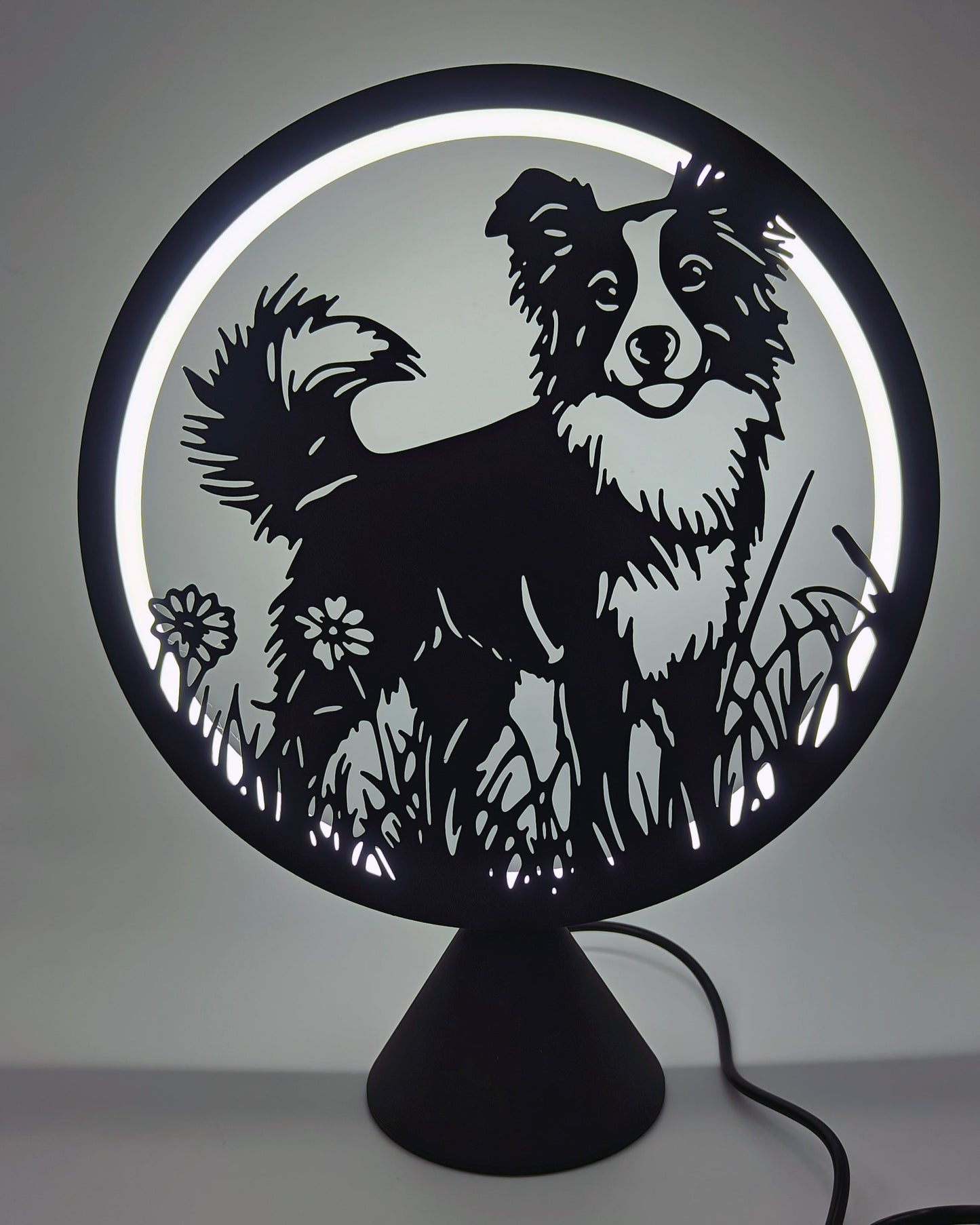 Silhouette Ring Light