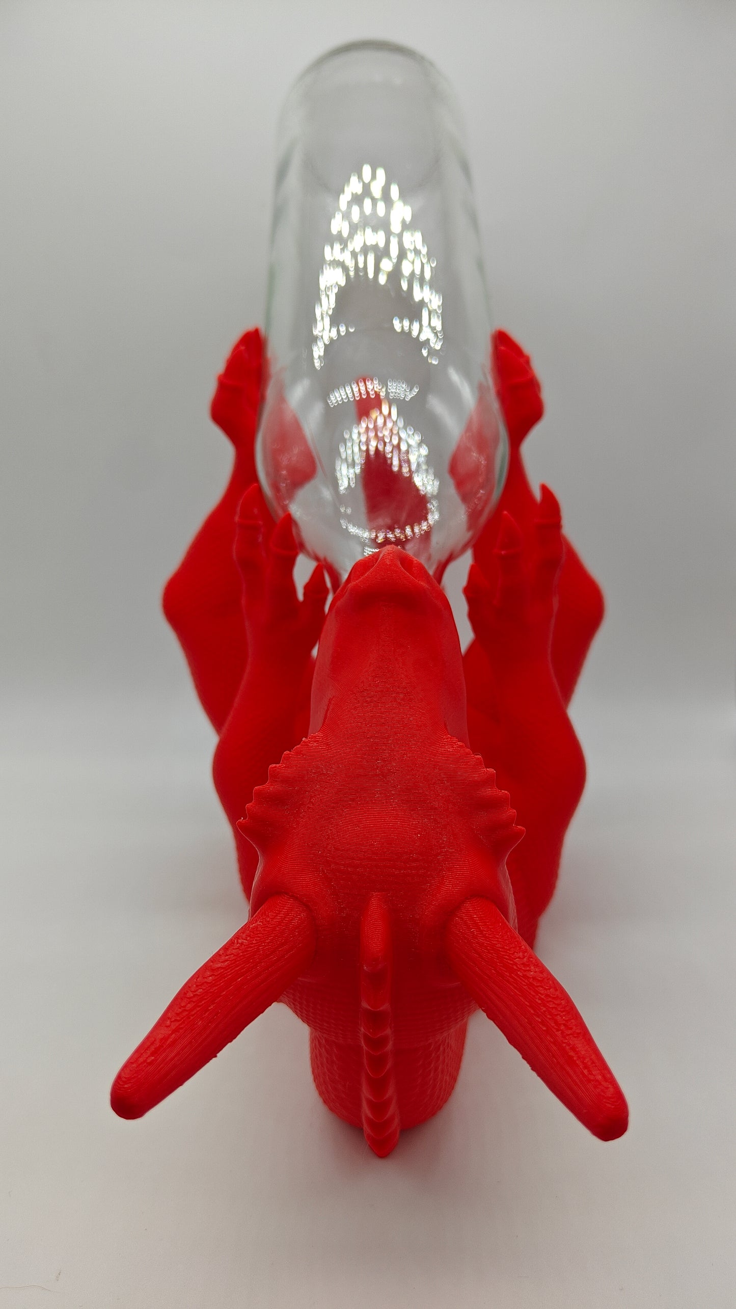 Dragon Bottle Holder