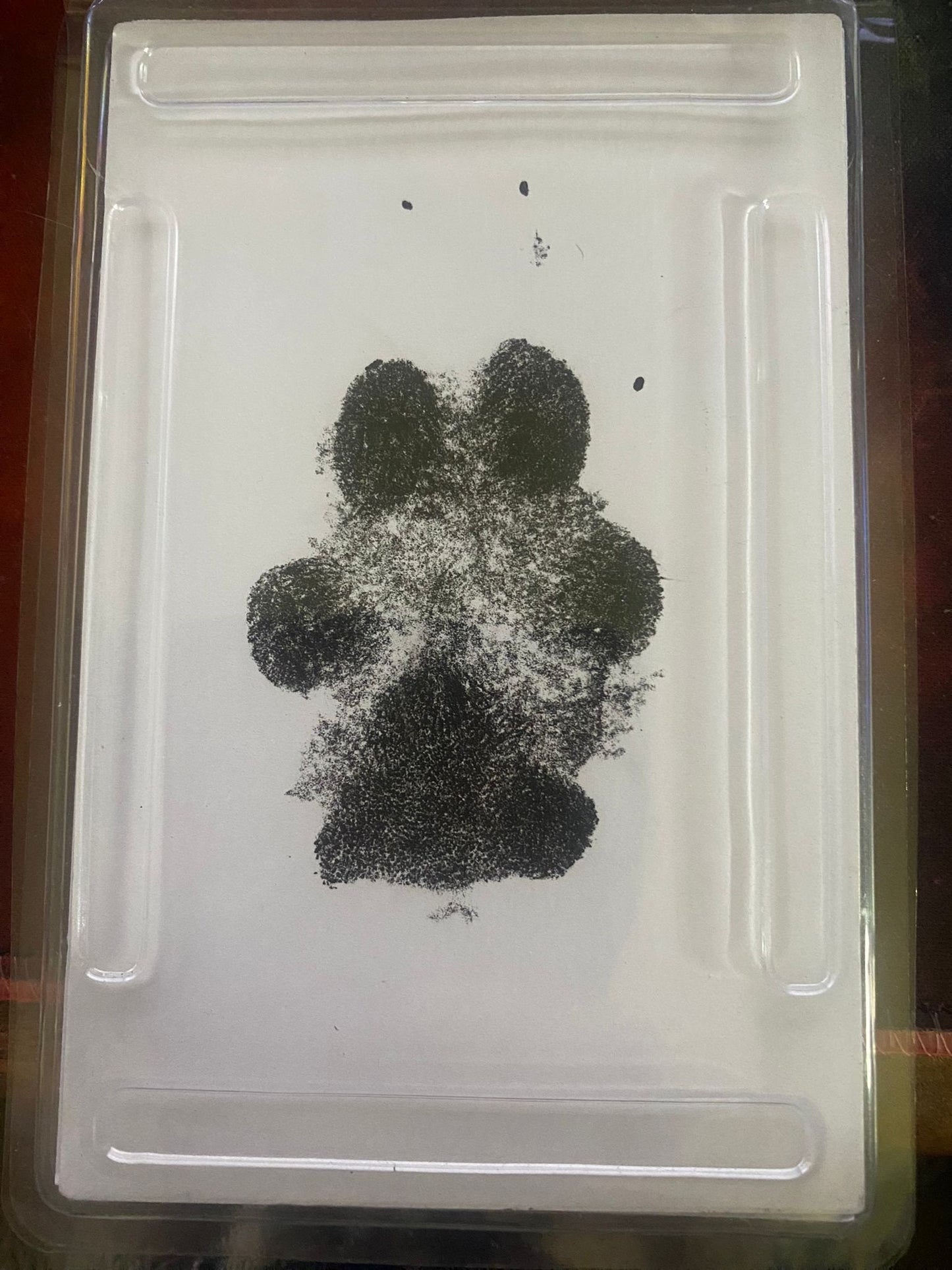 Large Pet Remembrance Photo Frame